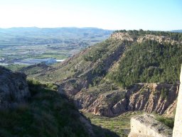Castillo de Pliego 2009